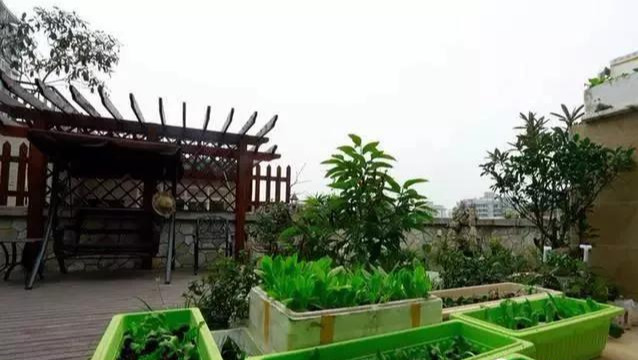 |老婆私自买下顶楼，砸20万装修让邻居踏破门槛，顶楼还有这操作