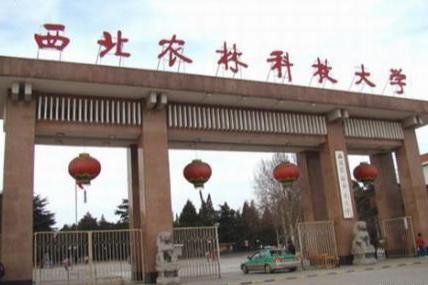 「西北农林科技大学」国内最低调的985大学，综合实力强，录取分数线低，适合中等考生