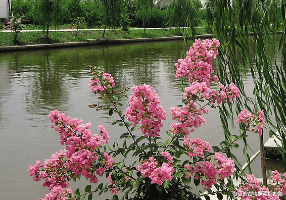 运势|未来8天大吉大利发大财，4属相财达利丰，日子可喜可贺