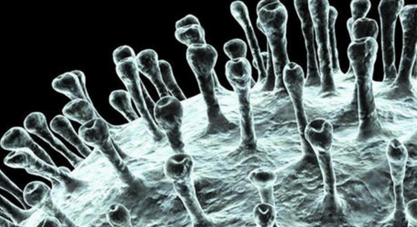 潜龙三号■“潜龙三号”传回的照片，让多国都慌了，要求马上住手
