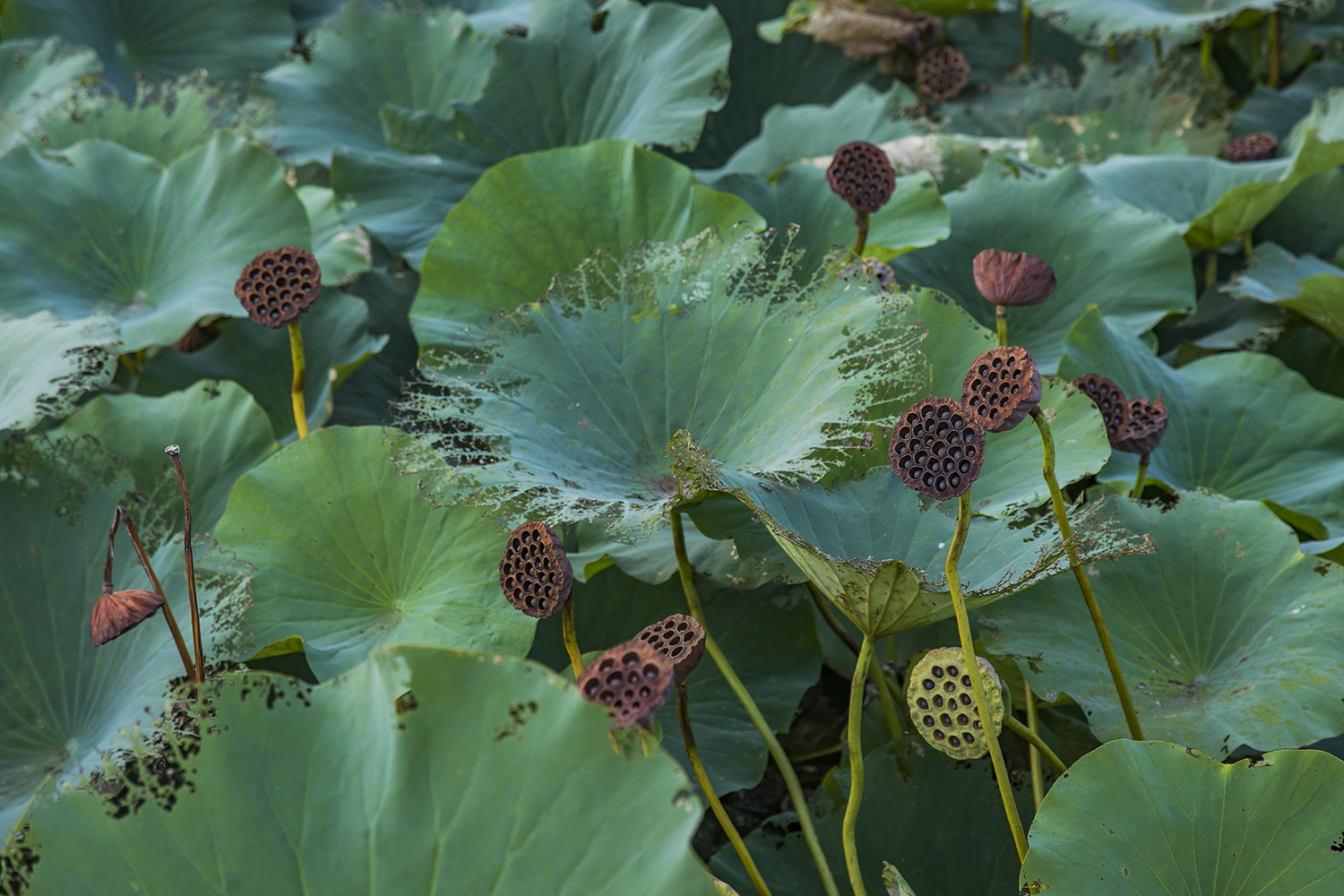 退休▲中国最适合养老的5个城市，宁静怡人，花销不多，退休后就搬过去