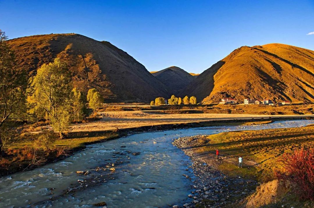 川西|川西，整个秋季最美的地方！思鹿旅行推荐