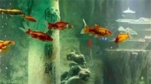 |福建男子用5年将14吨玉石雕成“东海龙宫”,专家:价值无法估量