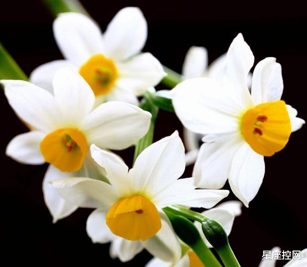 |哪些月份出生的人，品德出众，人缘好，在职场中混得风生水起！