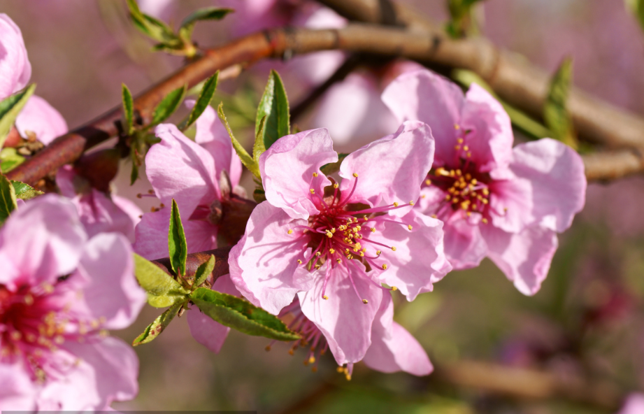 [运势]6月12日，运势上上吉，3生肖喜中头奖，财运事业高升连连