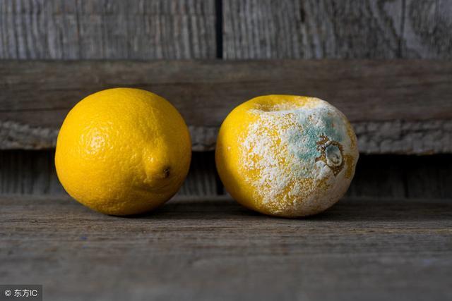 胃癌@50岁夫妻先后查出胃癌，医生坦言：这种“饭”，最好少吃