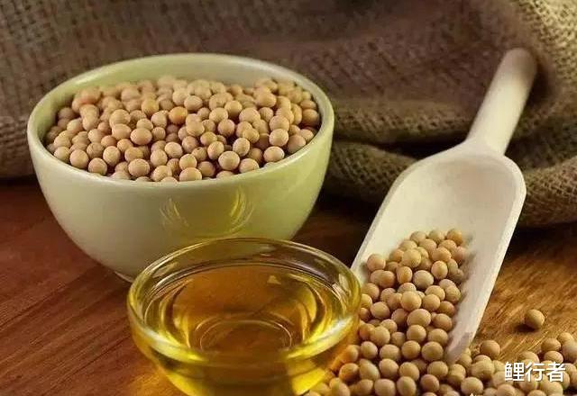 豆油|黄豆那么贵，为什么超市大豆油卖那么便宜？