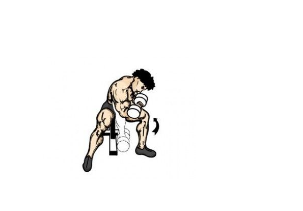 哑铃|如何锻炼结实二头肌？6组哑铃训练二头肌动作教学