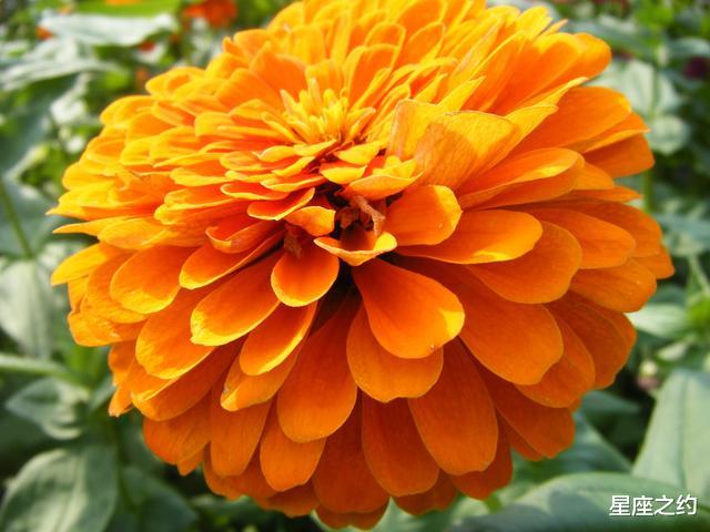 双鱼座|在7月下旬,坚持不懈,苦中求乐,努力前进的三大星座