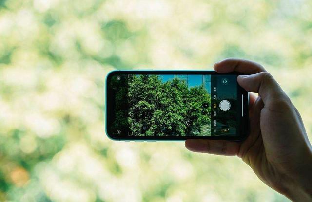 iphone11|买256G苹果XR还是128G苹果11?老果粉给出分析太实在,说到心坎了