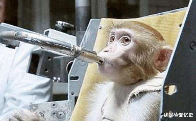 太空|1961年，美国将一黑猩猩送上太空，回到地面后不久才发现不对劲