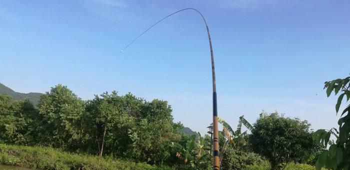 『』2-30斤的大鱼，钓获后为何扔掉？因为光鲜背后，有苦说不出！