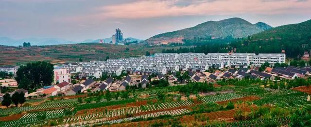 临沂■全市通报！临沂这100个村被相中了！（名单）