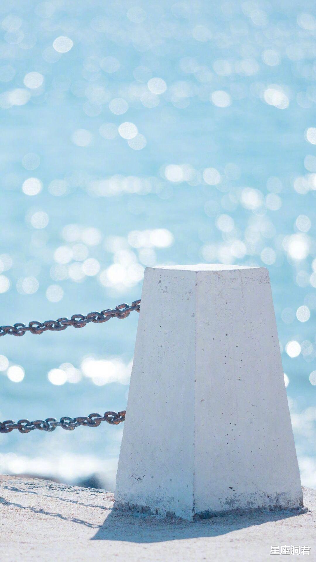 「双鱼座」分分合合，最终开花结果的星座