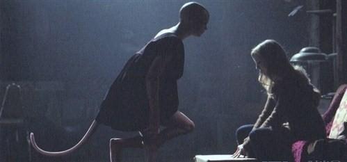 科学家▲英国曾秘密制造155个人兽杂交胚胎，引起全球恐慌，结果怎么样了