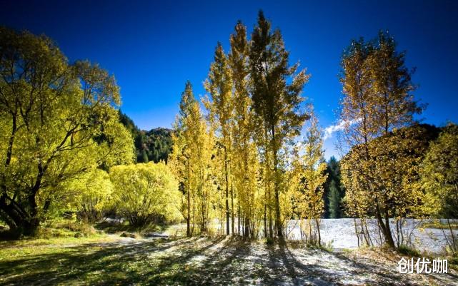 白羊座|7月后紫气东来，平步青云，运气好，福气临门的3个星座