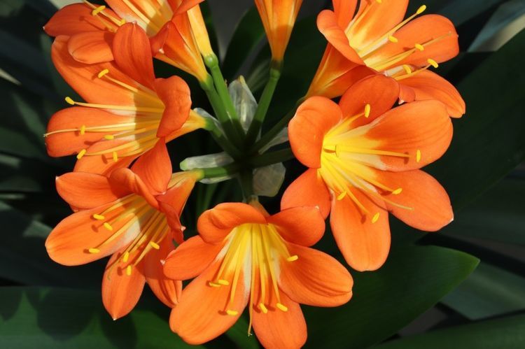 |11月中旬，桃花运极佳，遇见命中真爱，幸福就要降临了的4大星座