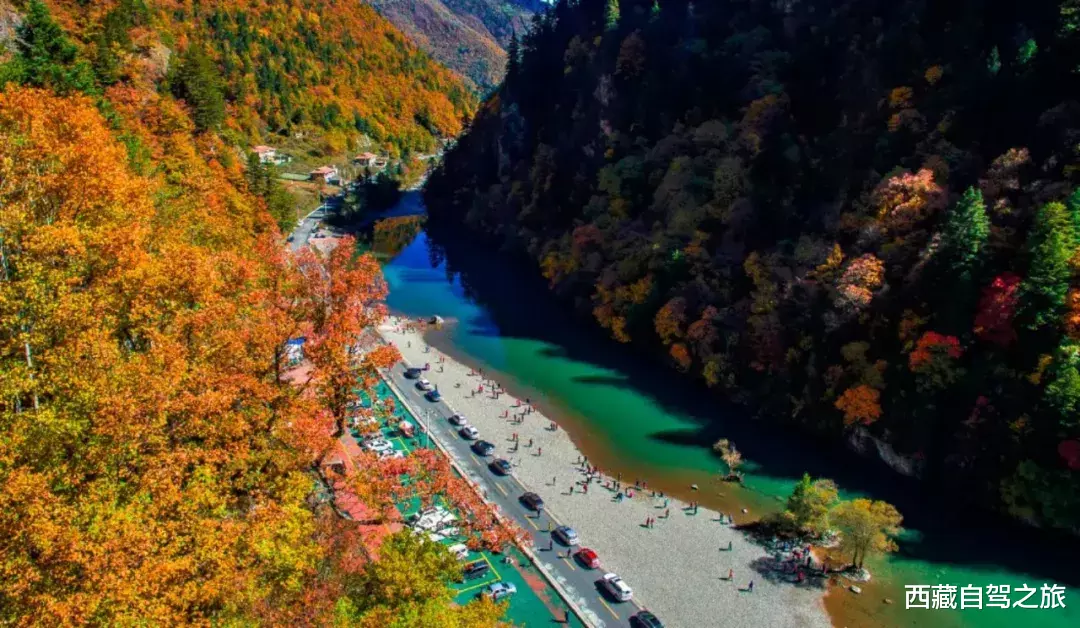 若尔盖|景 | 再过一个月，来看世间醉美的秋天！