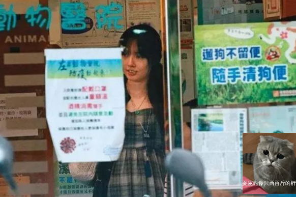 郭碧婷|郭碧婷终嫁豪门，怀孕颜值遭“滑铁卢”，当年南湘早已不存在！