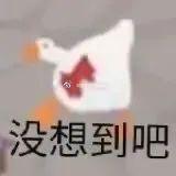 恋爱脑|恋爱脑、演技烂、耍大牌，她怎么红的？