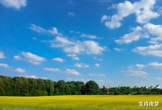 生肖|十月金秋，微风和煦，3生肖爱在当下，回头不难，此生为旧爱沉沦