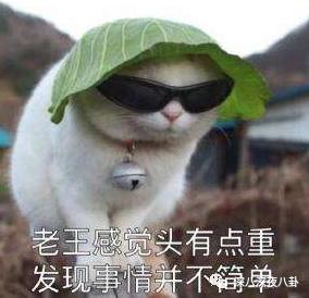 郭碧婷|台湾媒体报道说,她已怀孕六个月1