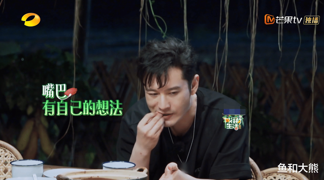 【黄晓明】黄磊曝《向往》差点停播，没平台愿意接收，黄晓明录制中途被劝退