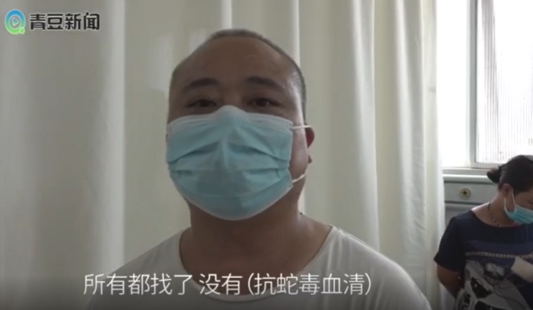 石家庄广播电视台|紧急求助!石家庄8岁女孩被蛇咬伤,全城急寻抗蛇毒血清!