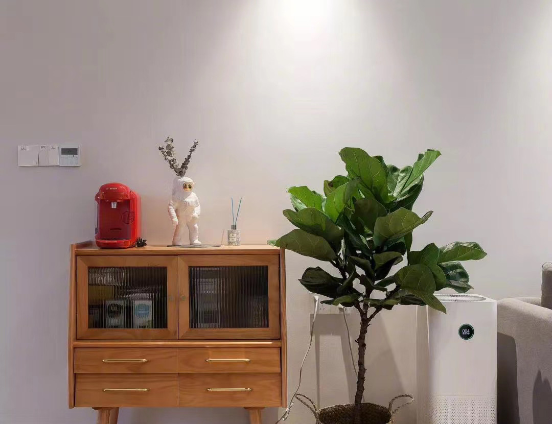 ##晒晒我的新家，玄关设计感好，不是我吹，客人一进门就开始夸