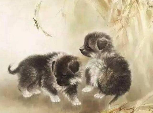 坠入情网|狗同志：您的“大囍”已登门，时间就在11月1号，不接就走掉了！