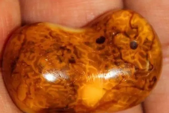 琥珀|不是所有原皮蜜蜡都适合盘,别瞎浪费时间!