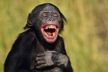 哺乳动物@这些人类的隐秘癖好, 居然是进化遗留的远古本能