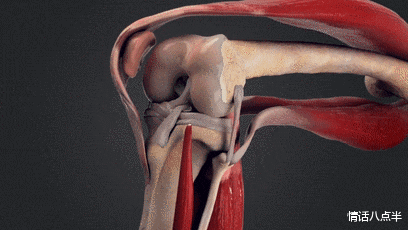 |我们必须进化的这么丑，才能不怕车祸？