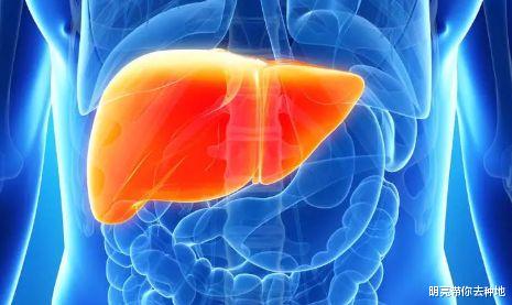 【肝脏】肝硬化的”克星“，3种零食要多吃，预防肝脏疾病、肝硬化