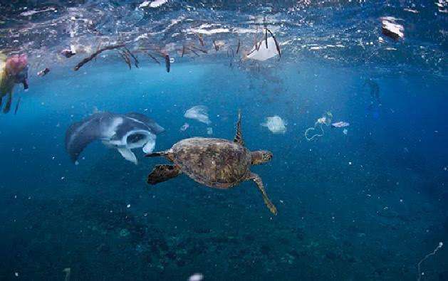 探测器|人类探测器下潜10926米,眼前的一幕让人后怕,镜头拍下这一幕