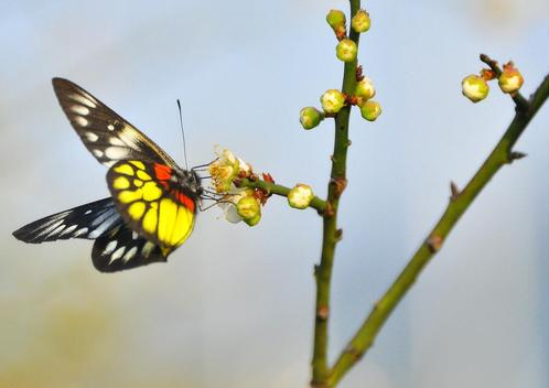 「吉星」未来一周有贵人出现，4属相吉星加持，事业风生水起，惊喜连连