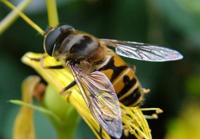 [科学家]科学家：我们找到了新的飞行方式，未来制造飞碟或将成为现实！