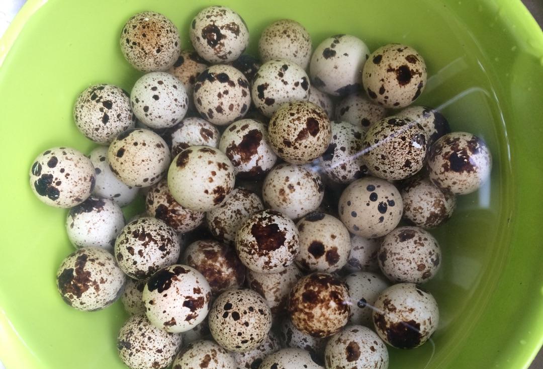 「黄体酮」藏在身边的“黄体酮”被发现！每天吃几颗，养颜嫩肤，45岁不显老