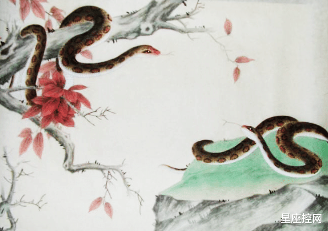 生肖|风趣幽默，在哪都容易混得开，招人喜欢的三大生肖，人缘好财运旺