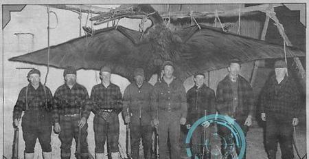 生物考古：照片曝光：太平洋岛上的不明飞行物，竟然是一只远古灭绝的翼龙！