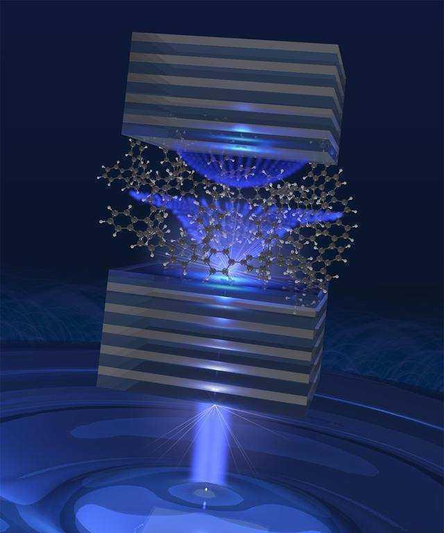 |如果把光速降为0会发生什么？