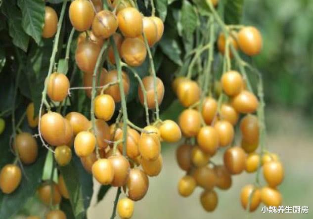 黄皮|八月，宁可少吃猪肉，也要多吃此肉，咳嗽不咳，全家人爱吃