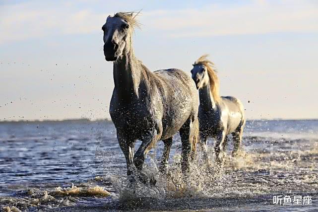 「生肖」福禄在身,贵人多助的4个属相,一生好运连连,非富即贵