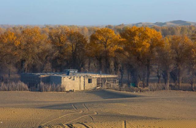 |深藏于沙漠的中国村庄，号称沙漠守望者，这里的女性从不外嫁