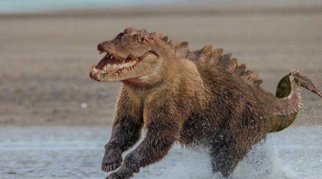 鳄鱼@把不同的物种进行杂交，会变成什么样？哈哈哈哈，这也太奇怪了吧！