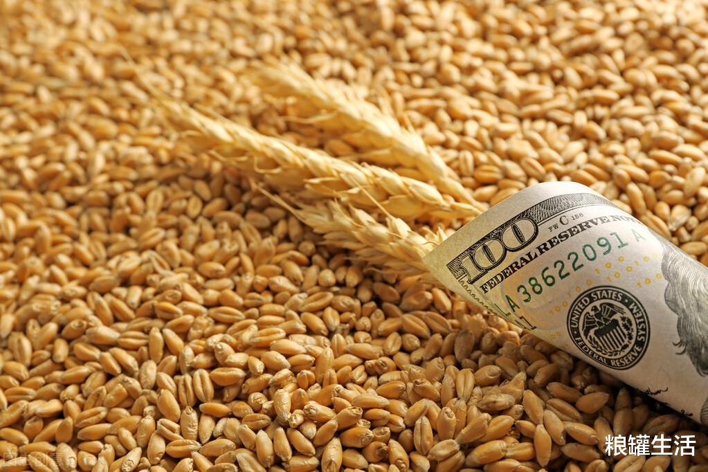 粮价|我国筹备半世纪的“粮策”发挥作用：全球面临粮食危机，人人自危