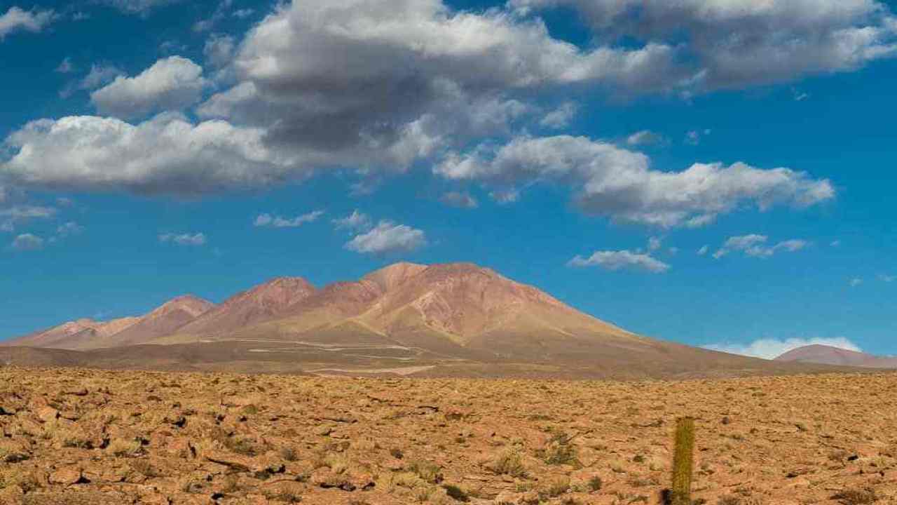 神回复|面试官：被困沙漠里，100瓶水中1瓶有毒你怎么选？网友神回复获赞