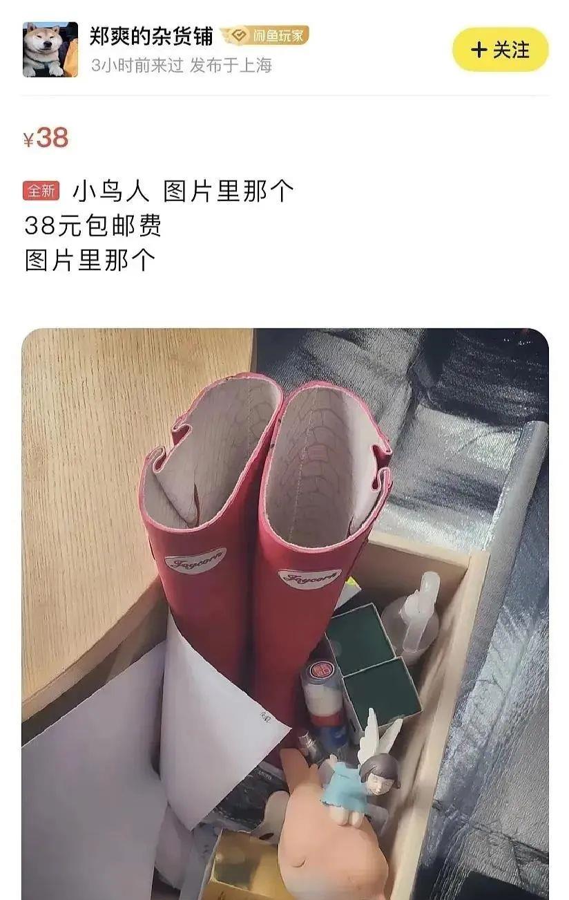 郭采洁|这次终于撕不上热搜了？