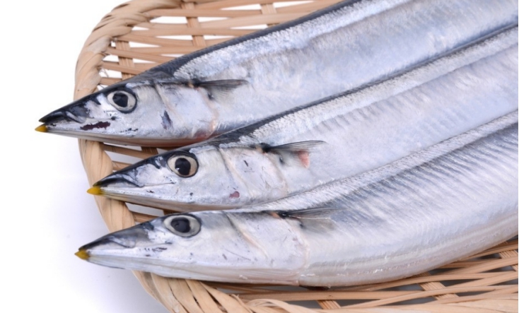 |水中最“倔强”的鱼,人类无法养殖,却经常在餐桌上出现