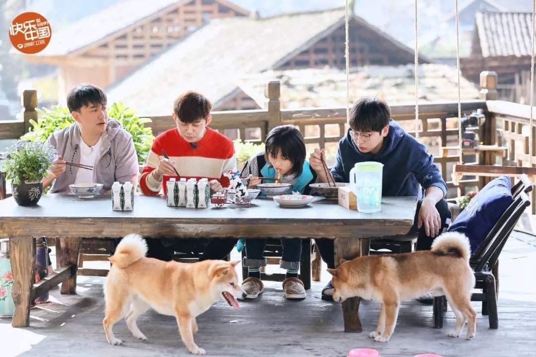 「邓伦」《向往的生活》不好看了？不能怪子枫和彭彭，只怪节目少了个环节